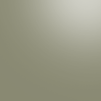 PM 172 sage green