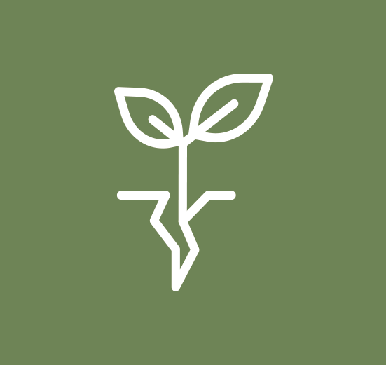 Desimpermeabilização